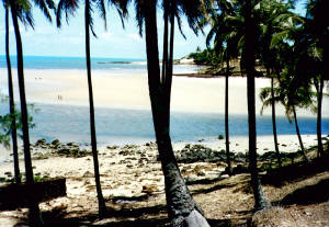 136.jpg